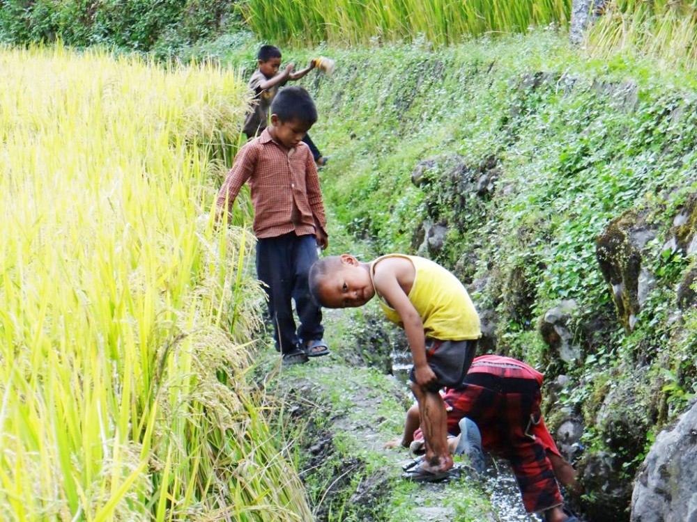 illage children play out in the paddy fields in Zhavame village.